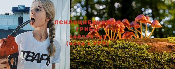 шишки Лиски