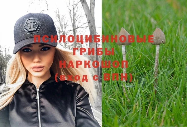мяу мяу кристалл Лихославль