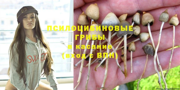 шишки Лиски