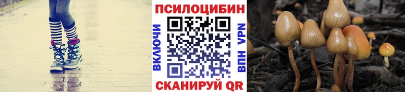 Псилоцибиновые грибы GOLDEN TEACHER  даркнет сайт  Александровское 